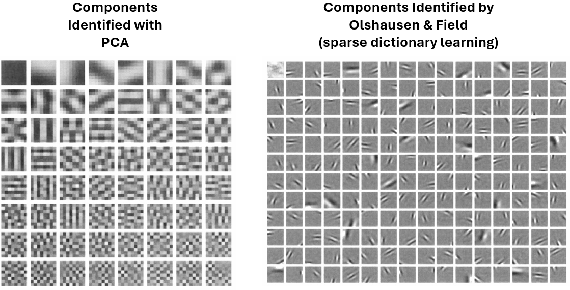 Components comparison.