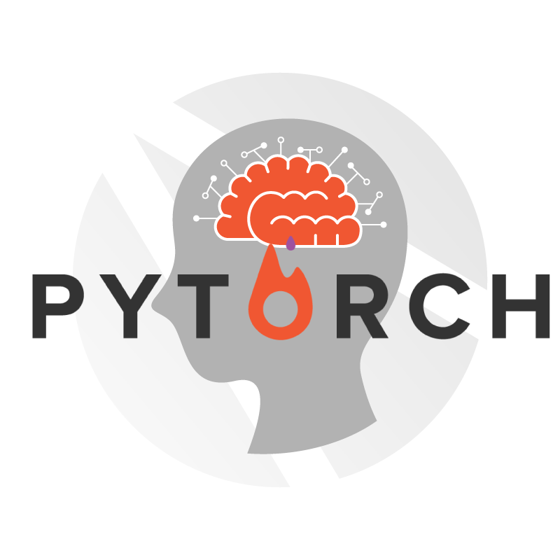 data_camp_pytorch.png