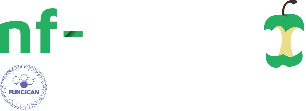 nf-core-funcscan_logo_flat_dark.png