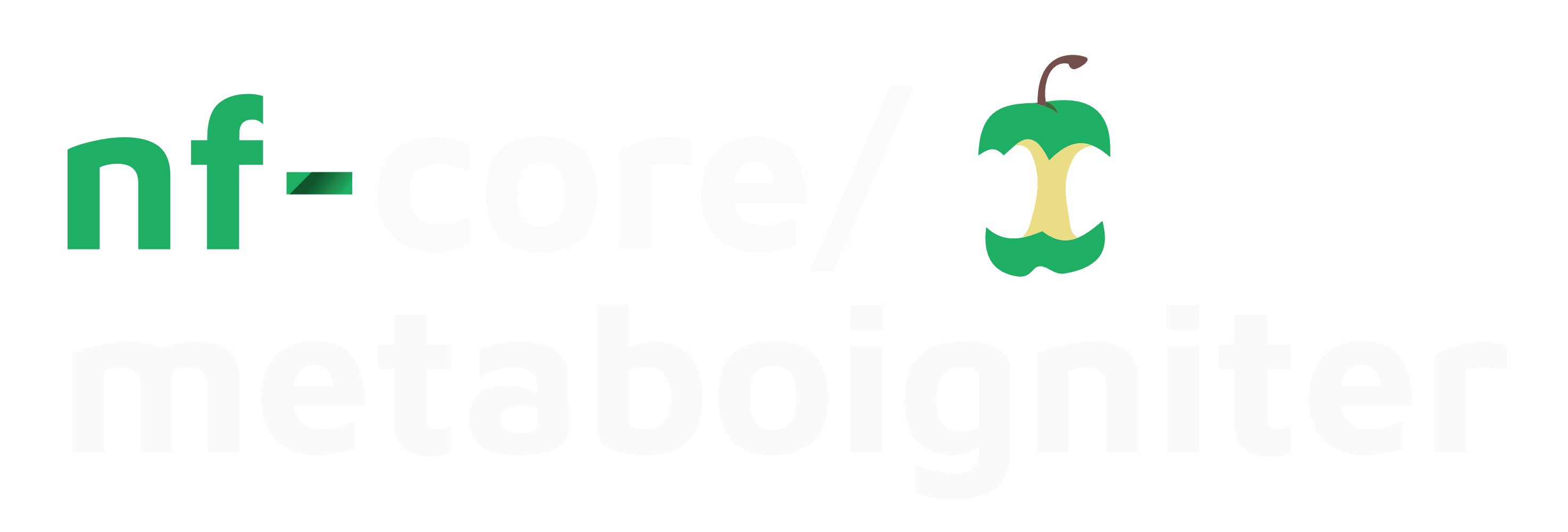 nf-core-metaboigniter_logo_dark.png