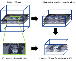 Cropping_process.width-800.png