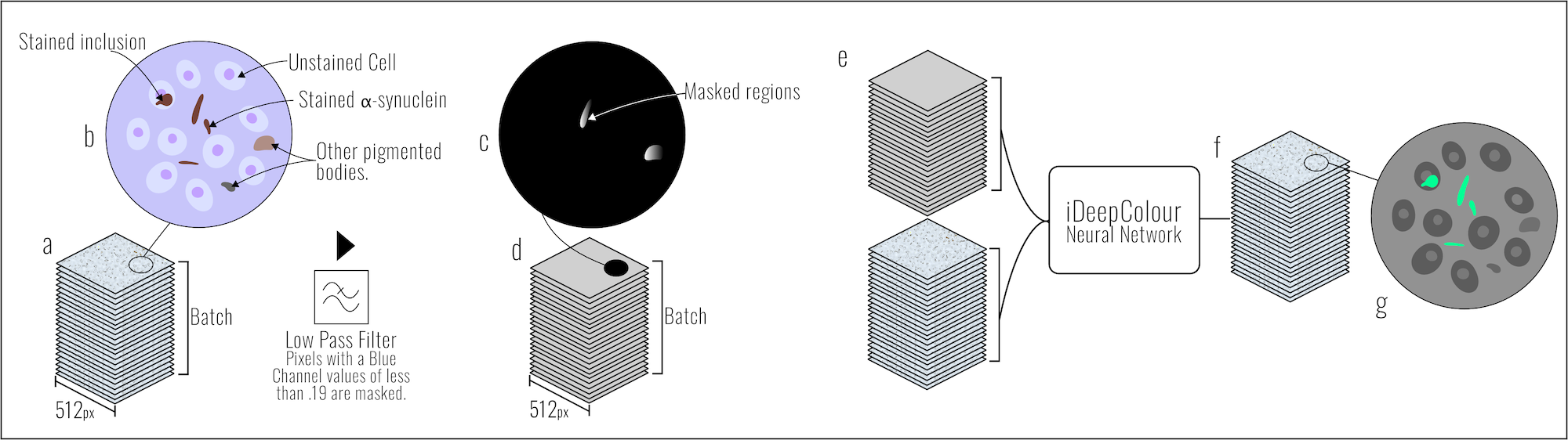 parkinsons-detection.png