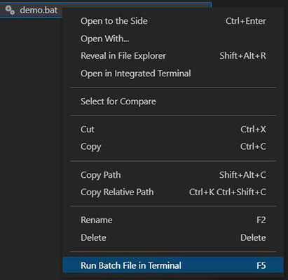 Context menu option: "Run Batch File in Terminal"