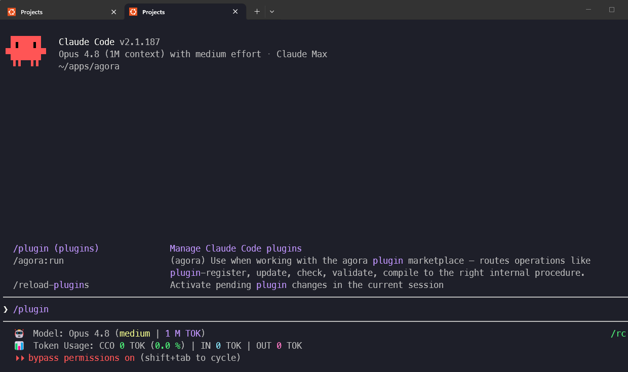 Run the /plugin command
