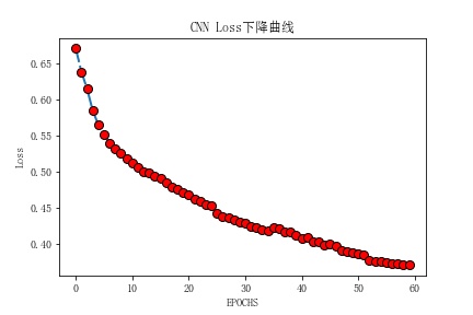 Loss_cnn.jpg