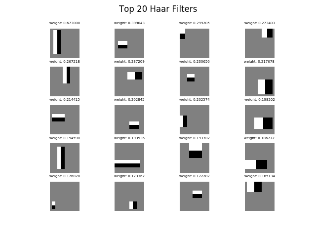 Top 20 Haar Filters.png