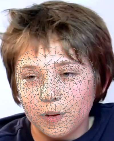 face_mesh.png