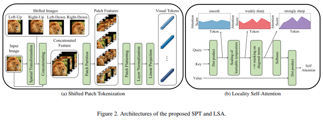 vit_for_small_datasets.png