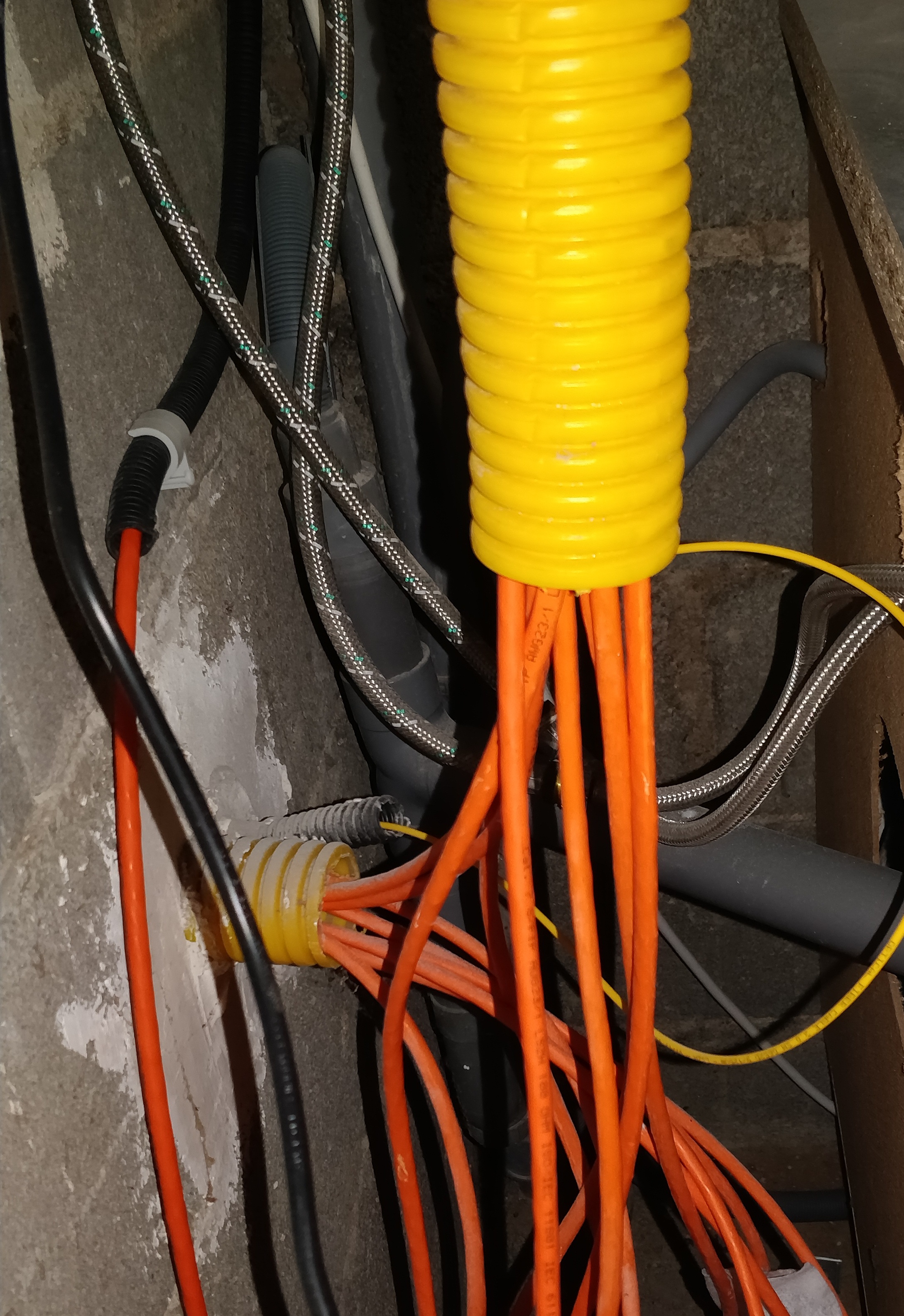 depart cables ethernet