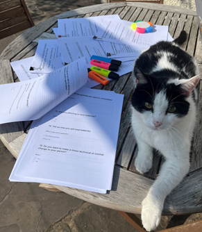 bert the cat managing the workload