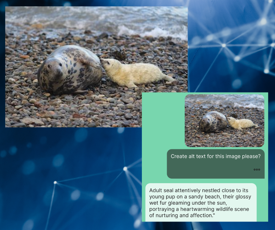 mother seal and her pup next to the alt-text produced by AI