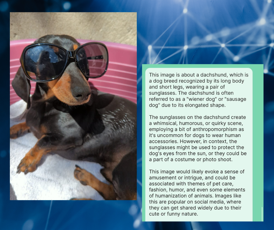 dachshund wearing sunglasses and the alt-text response from AI