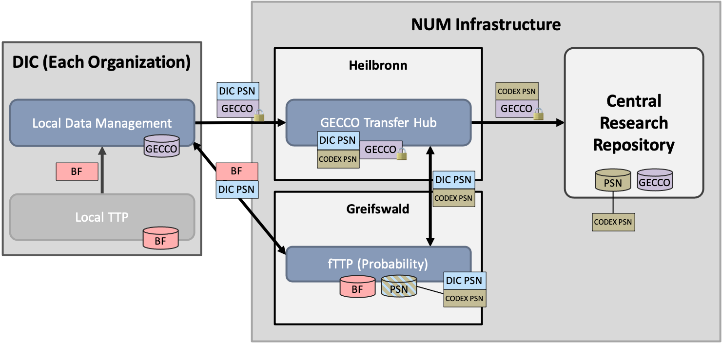 NUM CODEX / RDP Data Transfer Overview