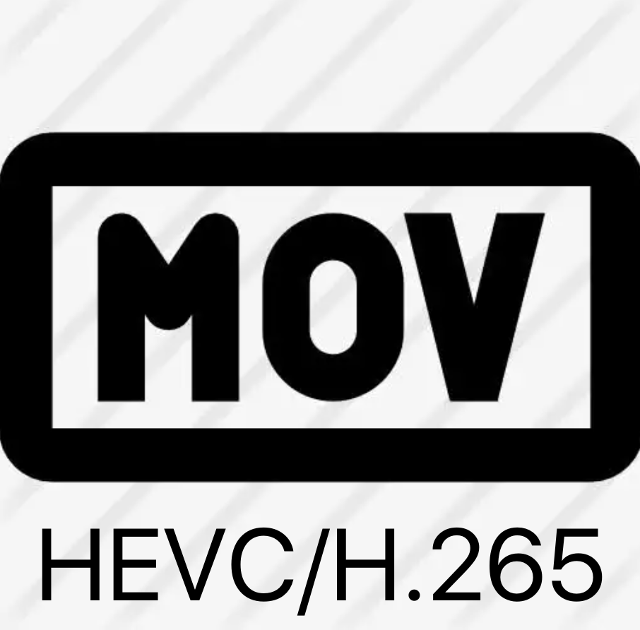 icon-mov-h265.png