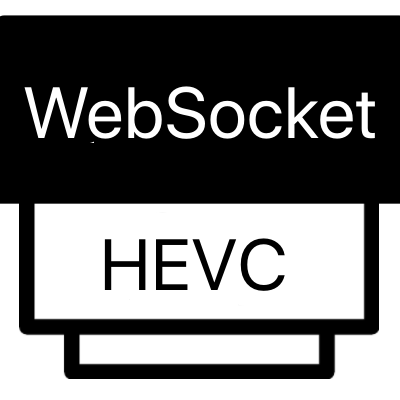 icon-websockethevc.png