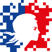 Logo du projet Django DSFR
