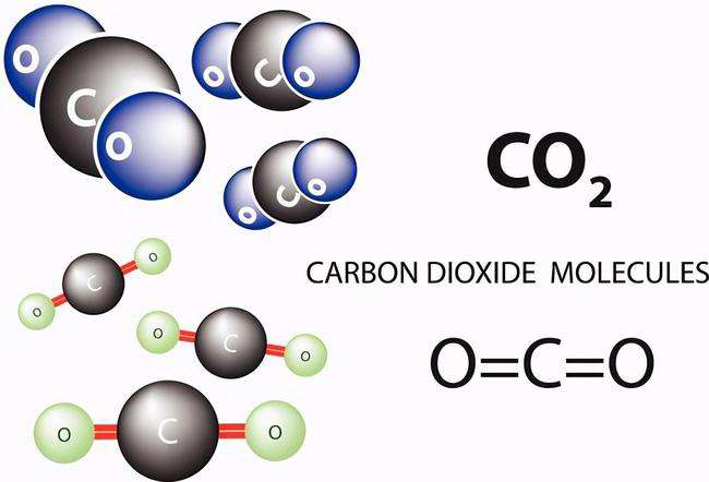 CO2.jpeg