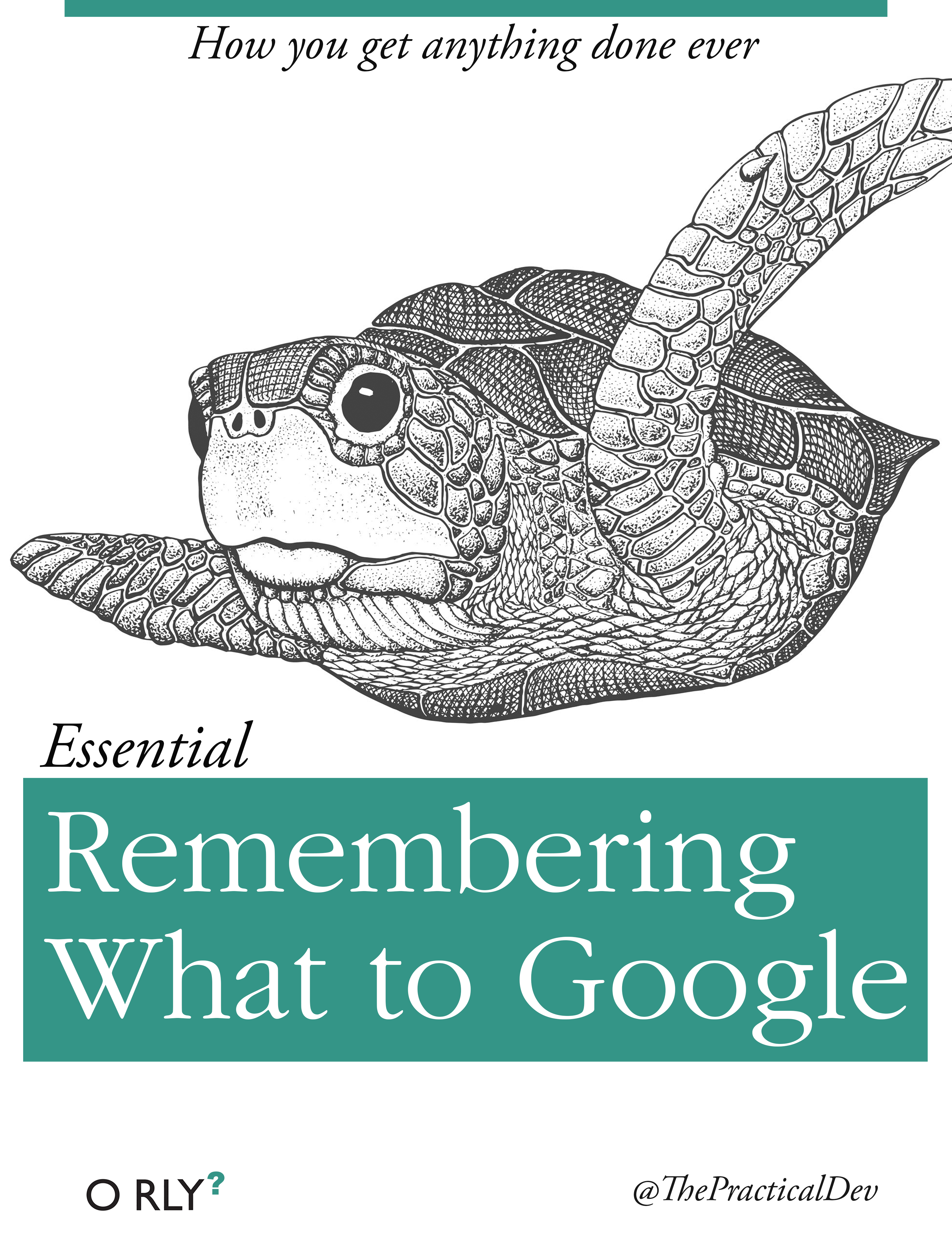 rememberingwhattogoogle-big.png