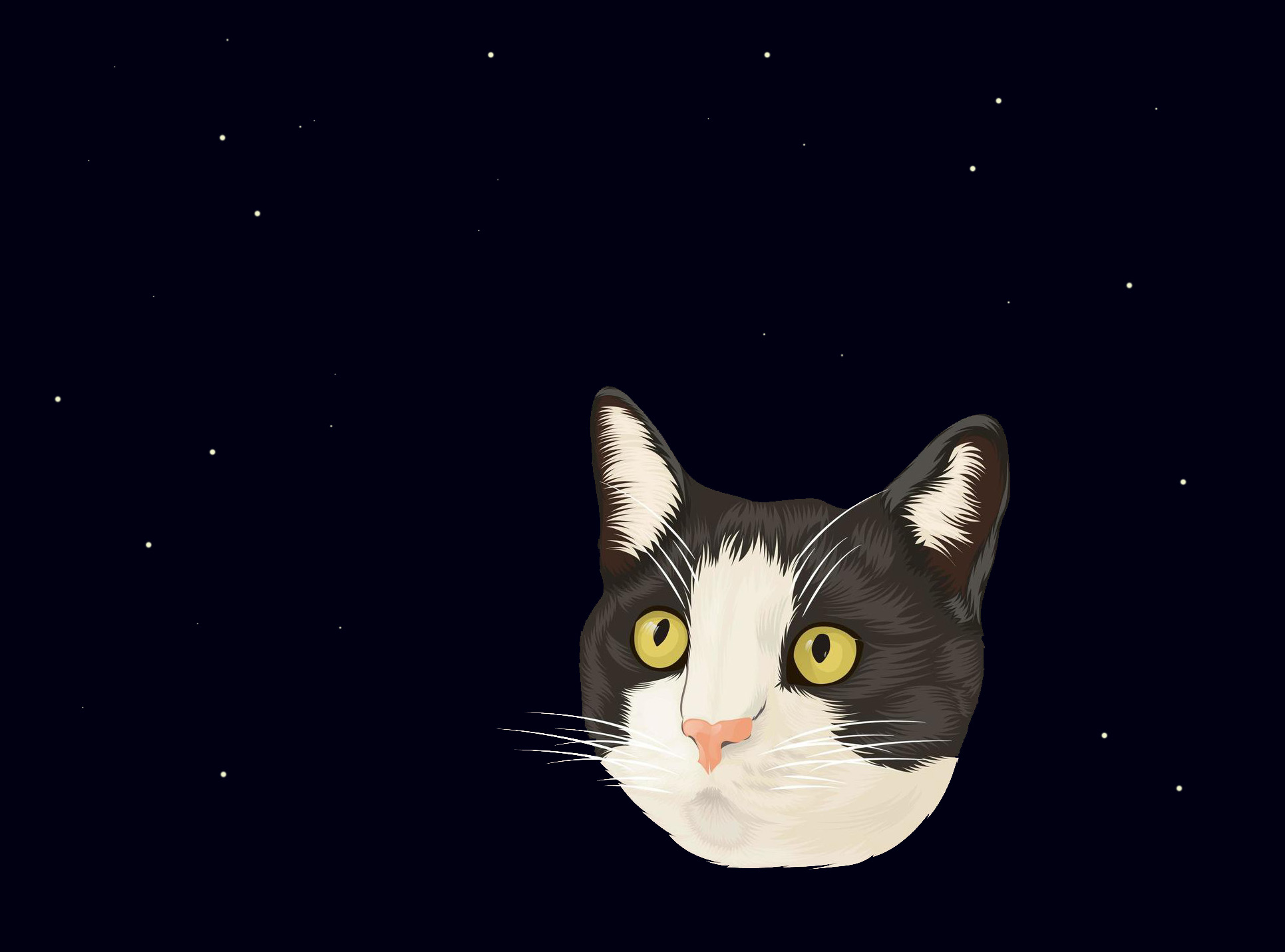 black-and-white-cat-head-in-realistic-style-vector.jpg
