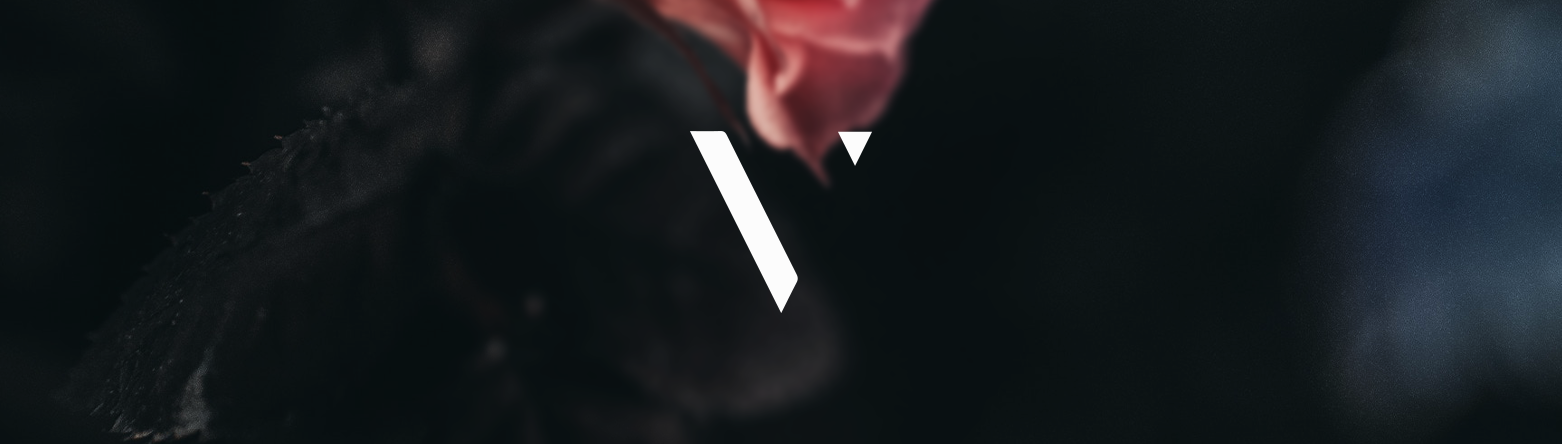 vee_cover_pic.png