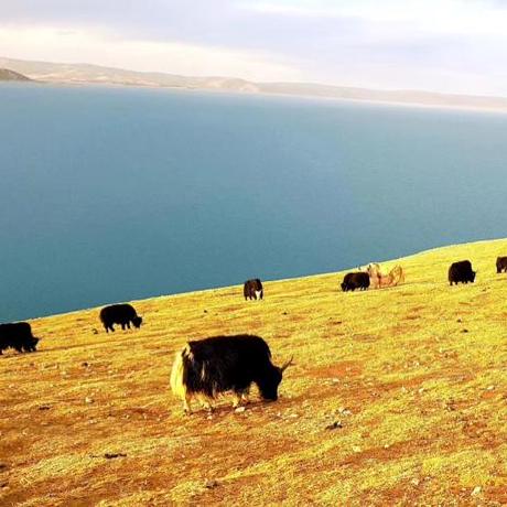 MCP Server 示例项目