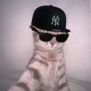 GitLab Docs GitHub avatar