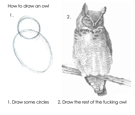 owl.png