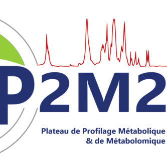 p2m2