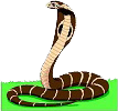 snake.png