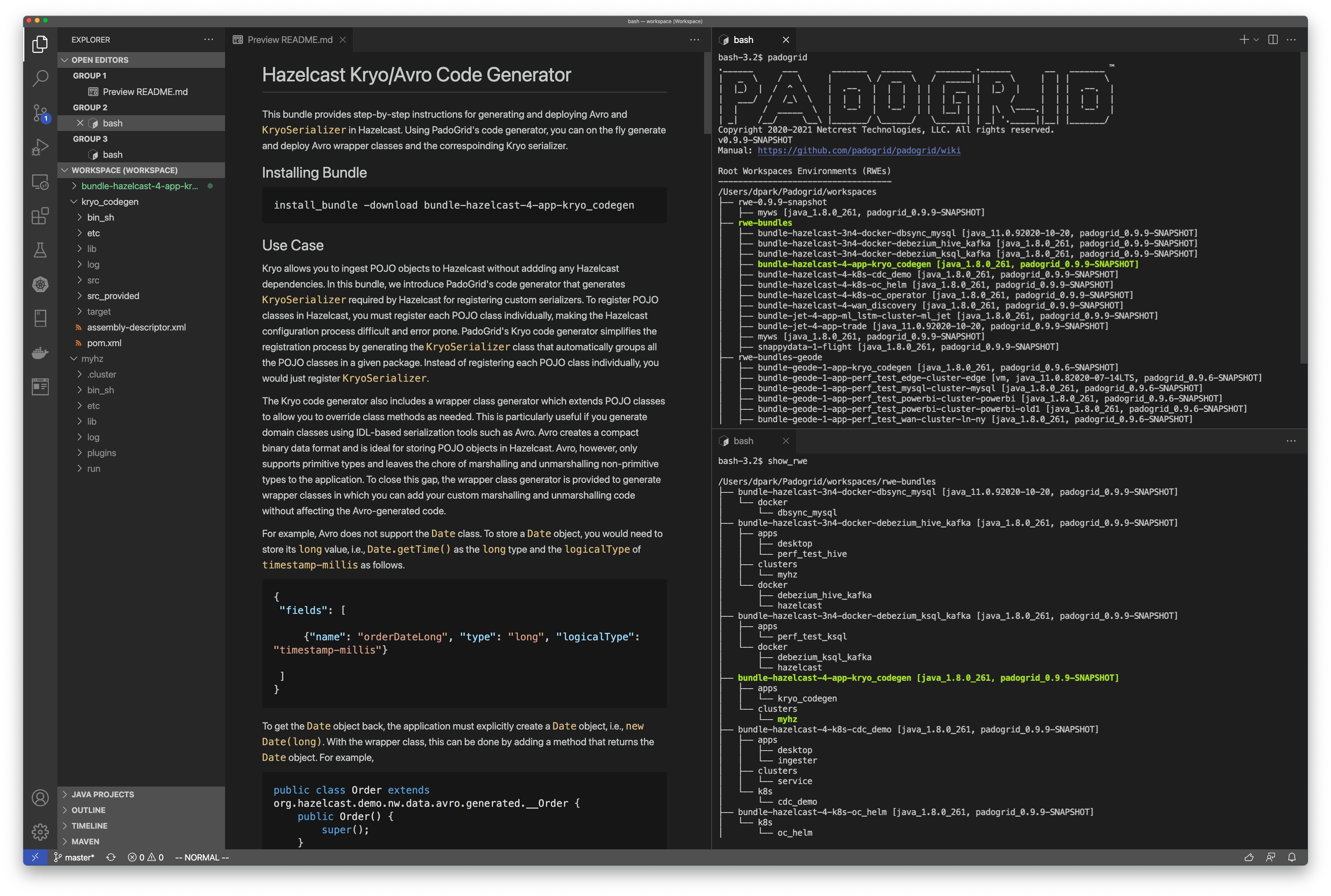 PadoGrid in VS Code