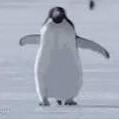 panoel