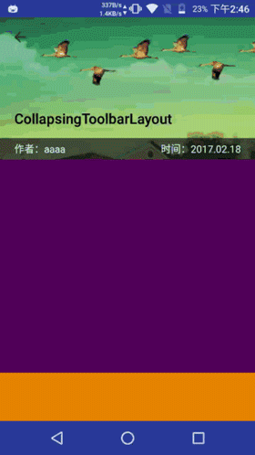 CollapsingToolbarLayoutScreenShoot.gif