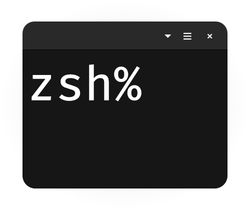 zsh-console-default.png