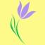 peaceiris