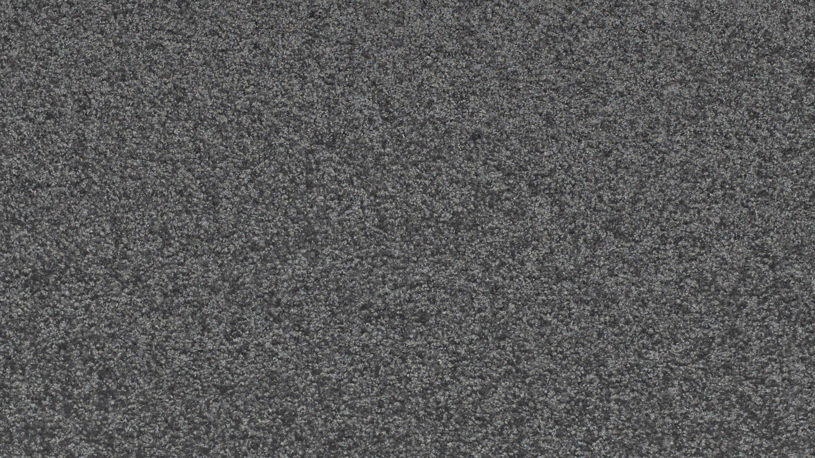 carpet.jpg