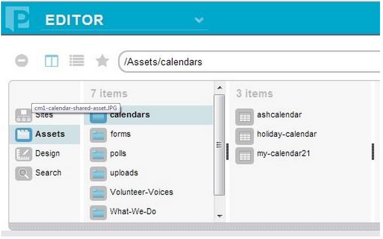 calendar widget asset