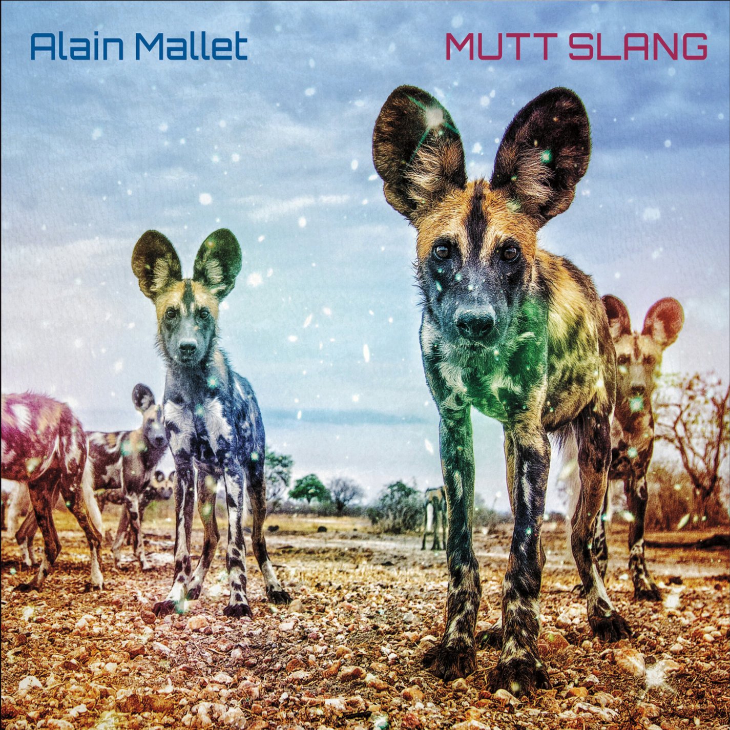 Alain Mallet "Mutt Slang", 2016