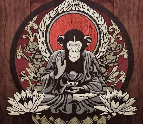 meditating_monkey.jpg