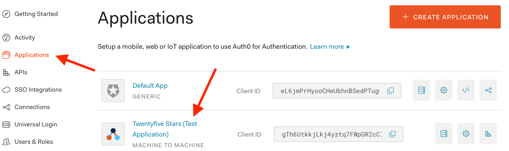 auth0-test-application.png