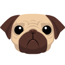 pug.png