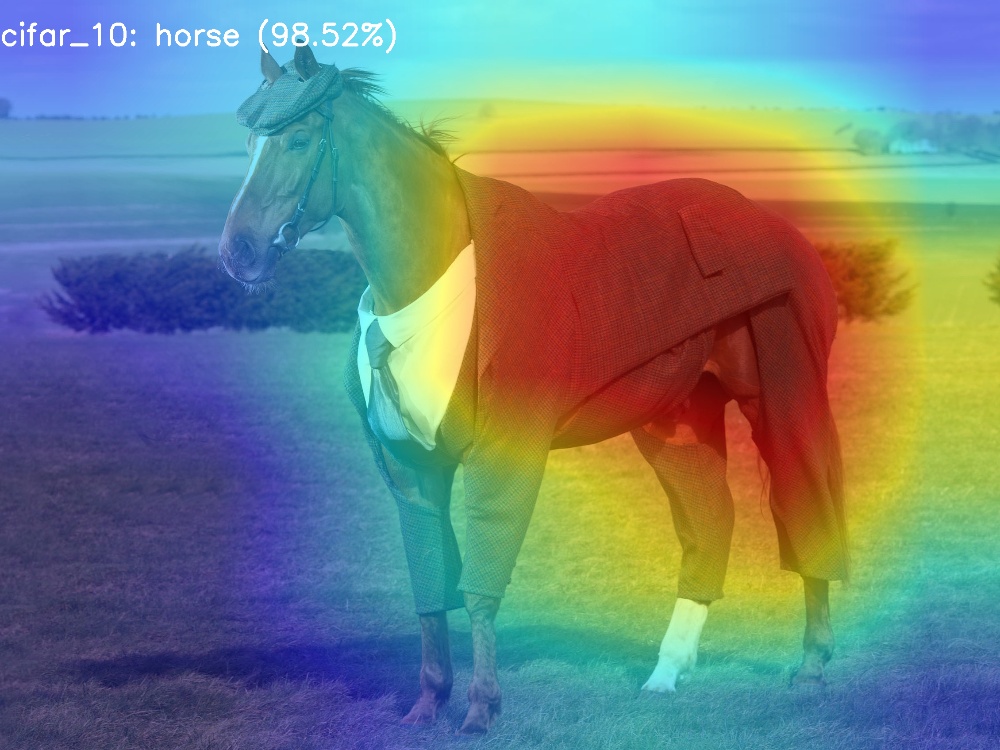 horse.jpg