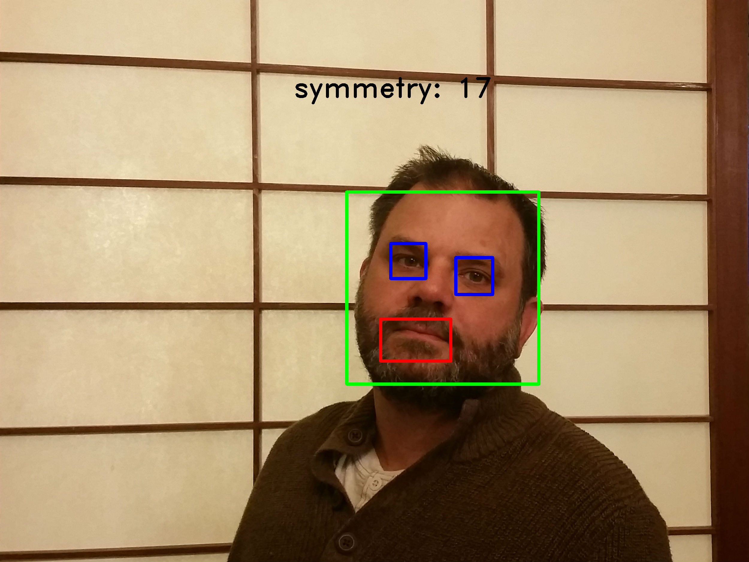 faceDetection003.png