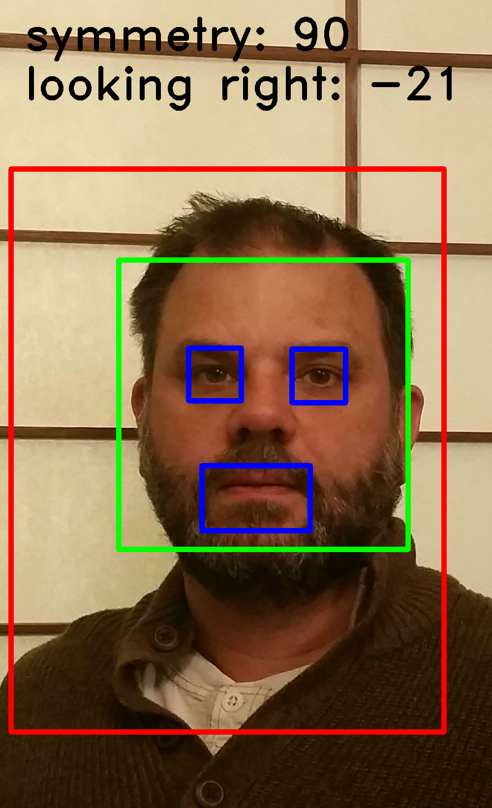 cropfaceDetection002.png