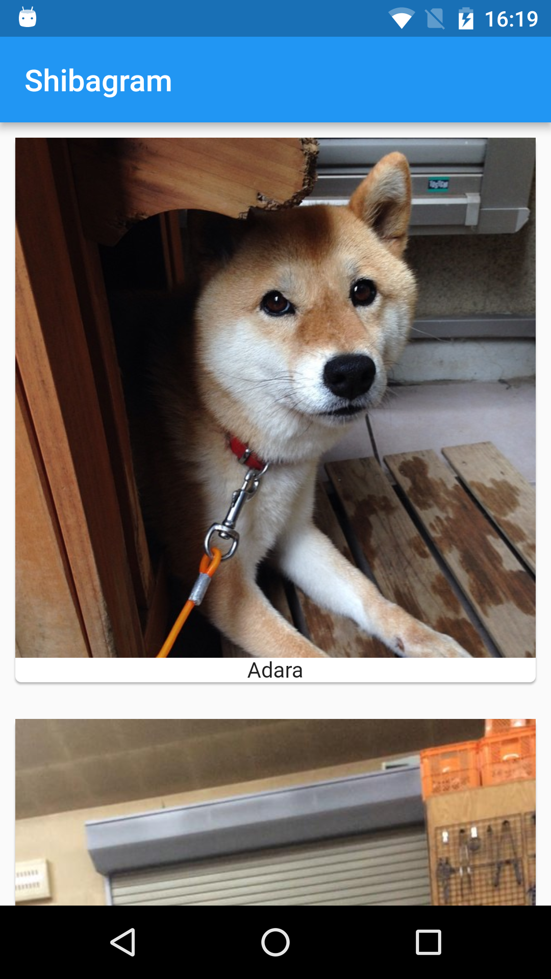 shiba_5k_01.png