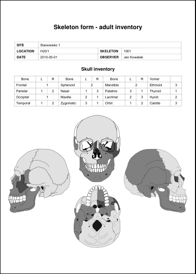 skull_report.png