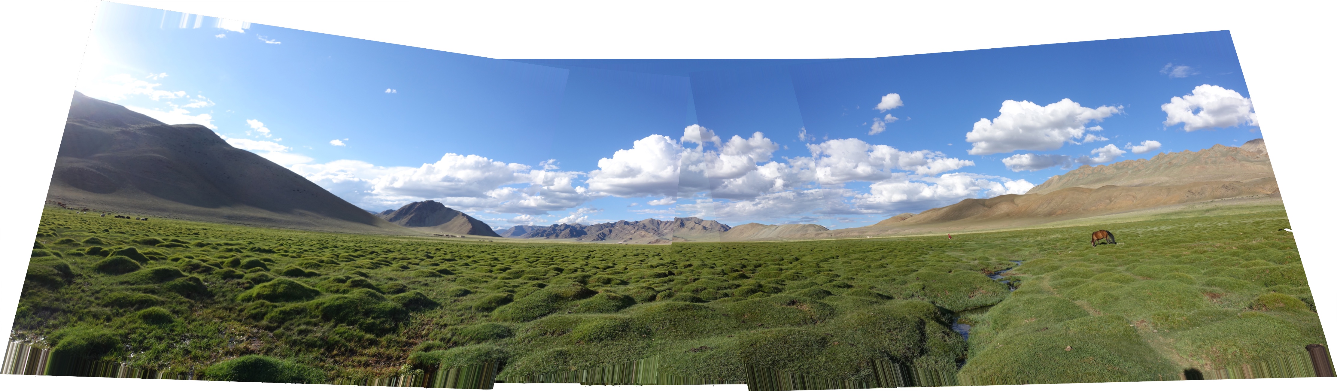field_panorama.jpg