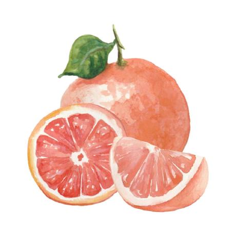 pompelmi