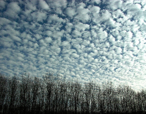 c2q2-altocumulus.jpg