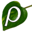 pothosware