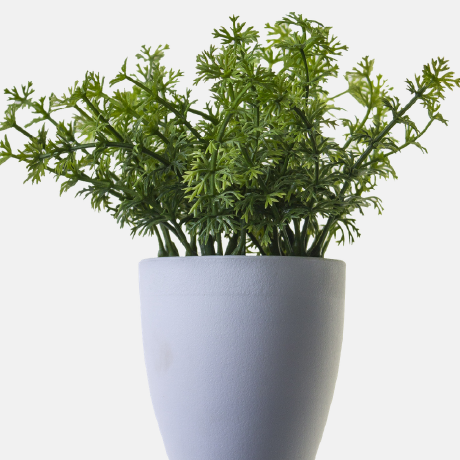 potnanny